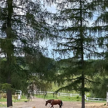 Sen Nad Jeziorakiem Appartement